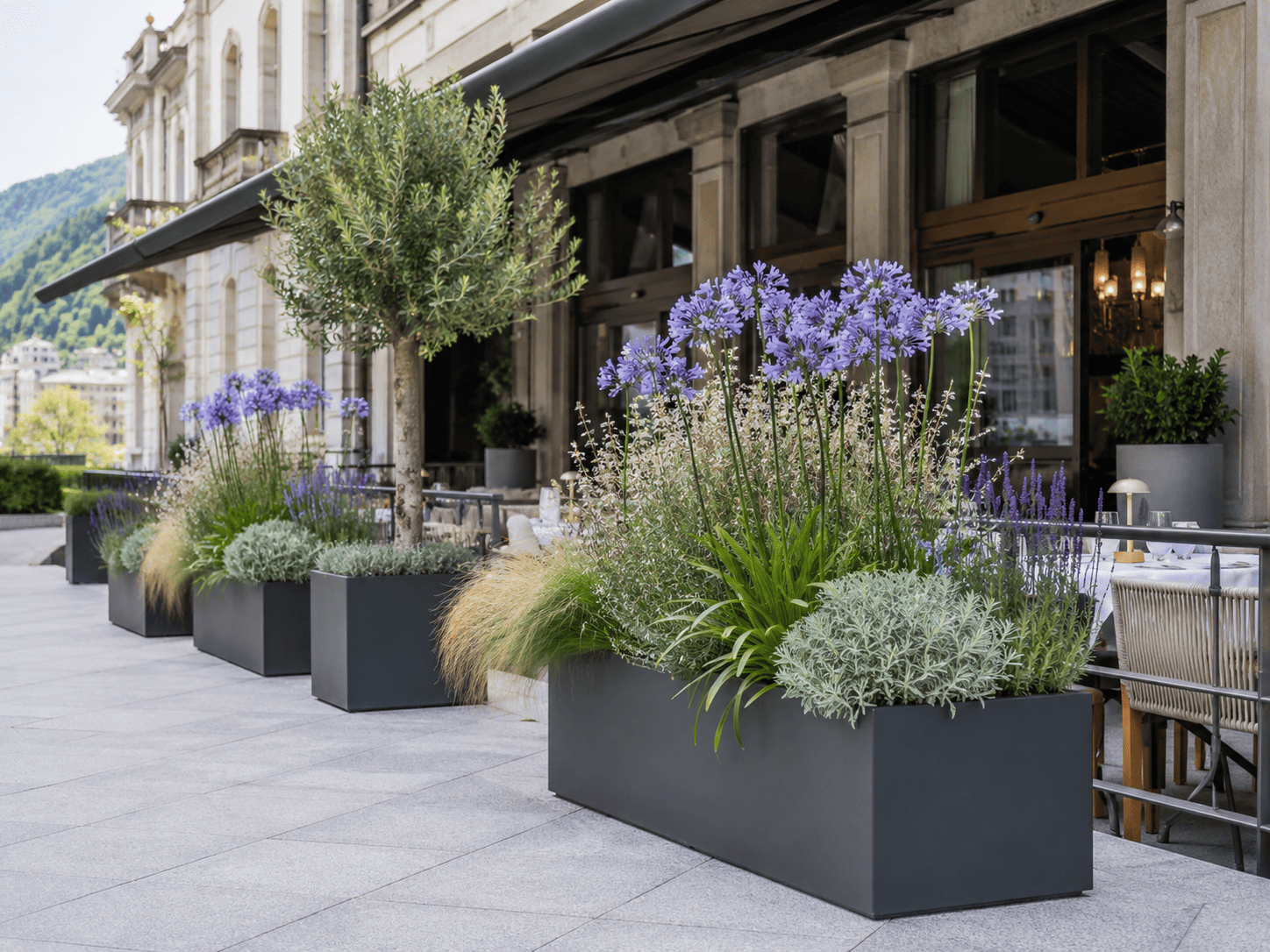 Pflanzgefäße mit Saisonbepflanzung wie Agapanthus
