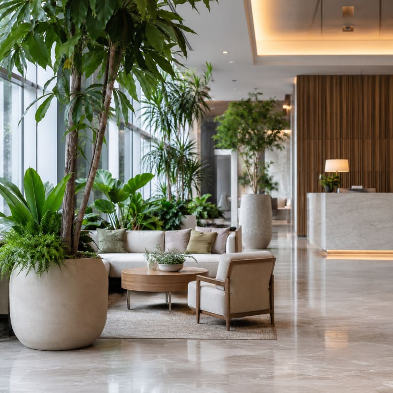 Innenbegrünung für Büro, Lobby oder Restaurant