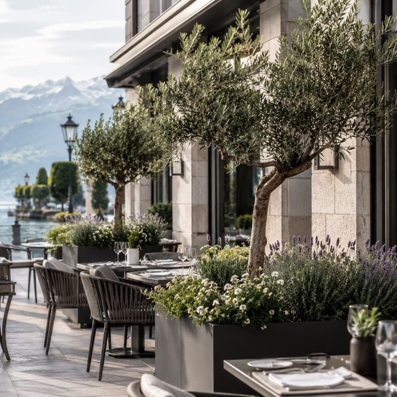 Mediterraner Flair in Pflanzgefässen